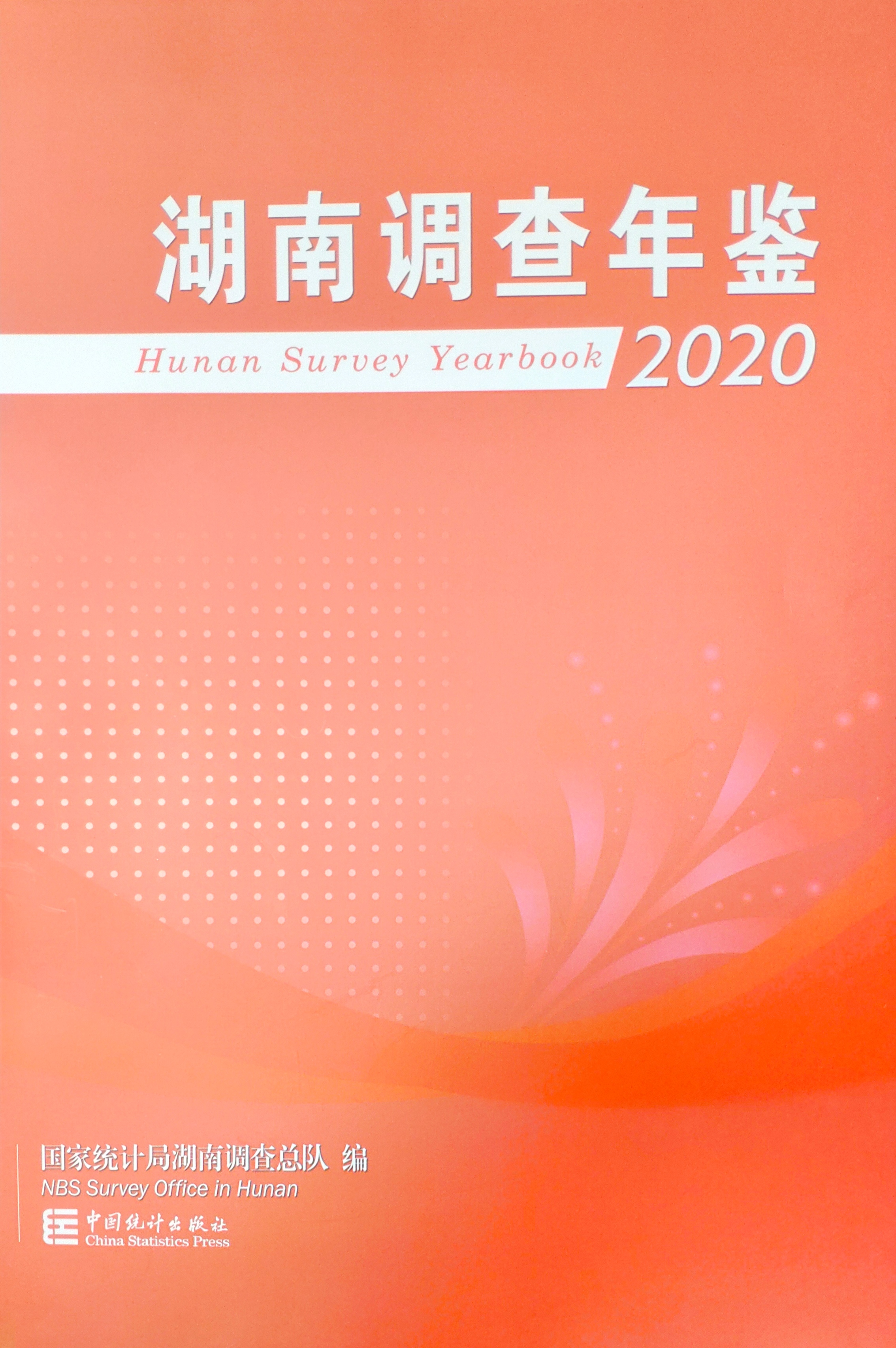 《湖南调查年鉴—2020》