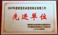 2007湖南调查总队省直社会治安综合治理工作先进单位.JPG