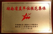 2010湖南调查总队省直单位模范集体.JPG